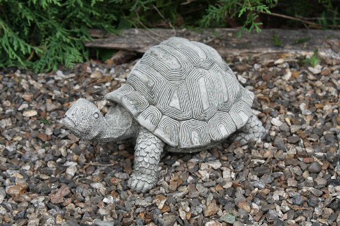 KA61 Long Necked Tortoise